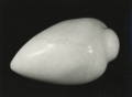 Enlarged Marble shape 1, 1978, (image 1) cropped